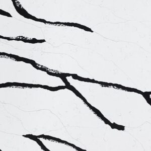 f-statuario-black